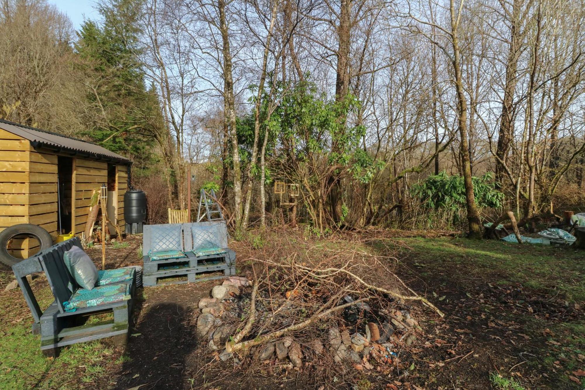 The In The Woods
